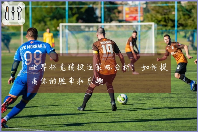 世界杯竞猜投注策略分析：如何提高你的胜率和乐趣