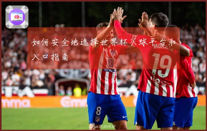 如何安全地选择世界杯买球平台和入口指南