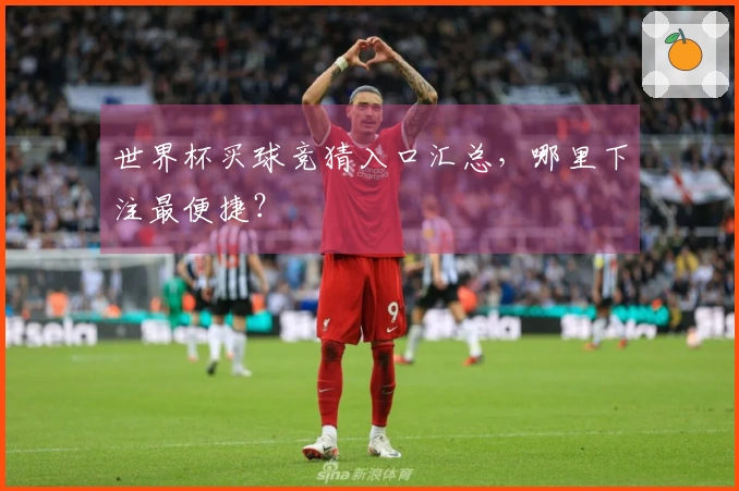 世界杯买球竞猜入口汇总，哪里下注最便捷？