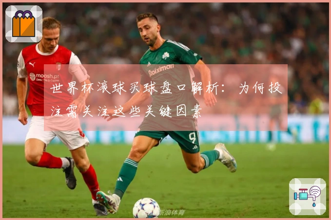 世界杯滚球买球盘口解析：为何投注需关注这些关键因素