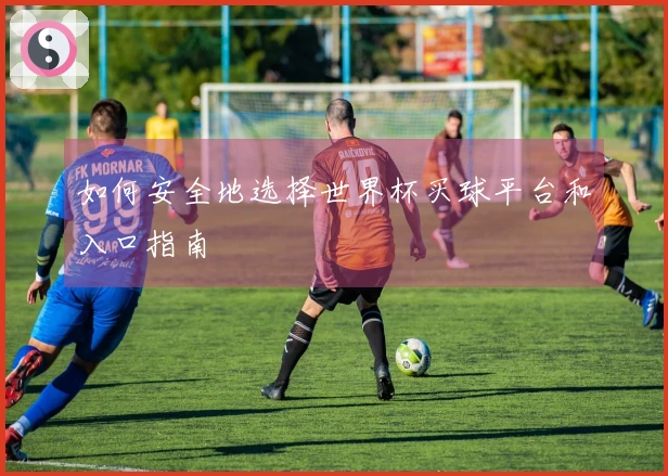 如何安全地选择世界杯买球平台和入口指南