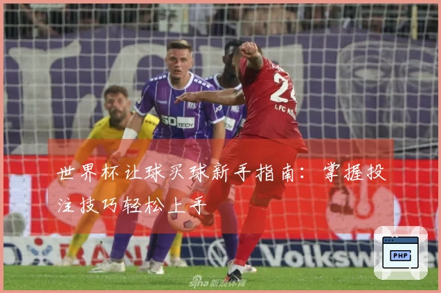 世界杯让球买球新手指南：掌握投注技巧轻松上手