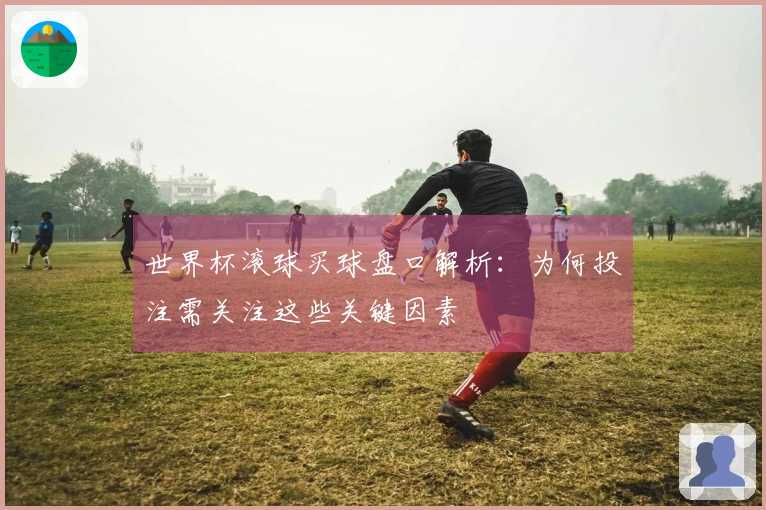世界杯滚球买球盘口解析：为何投注需关注这些关键因素